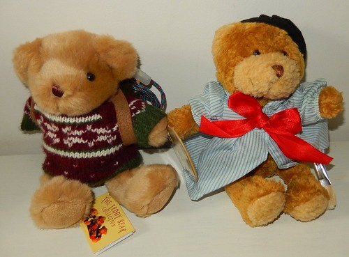 Lot peluche the teddy - the,