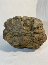 Formation géologique Septaria