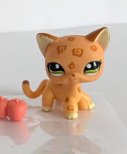 Authentique Petshop Chat Européen 1120 avec accessoire