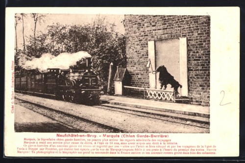 Cpa neufchatel bray - cpa, neufchatel-en-bray,