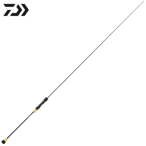 Daiwa saltwater slow - saltwater,