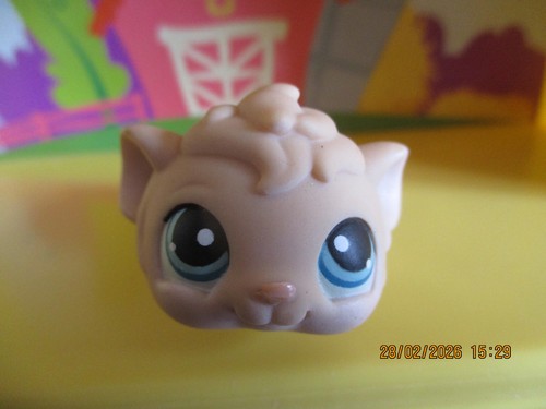Petshop cochon inde - d'inde, #157/