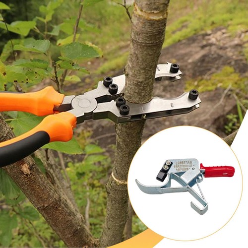 Outil élagage pour arbres - outil,
