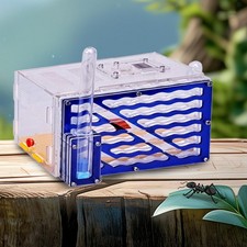 Nid d'élevage pour fourmis