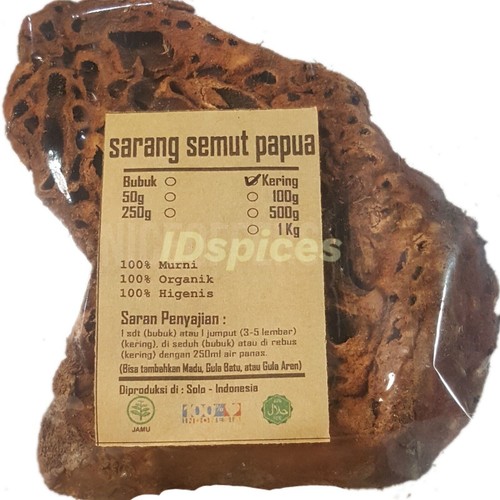 Nid fourmi sarang semut - fourmi,