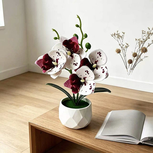 Fausse plante orchidée - , pour