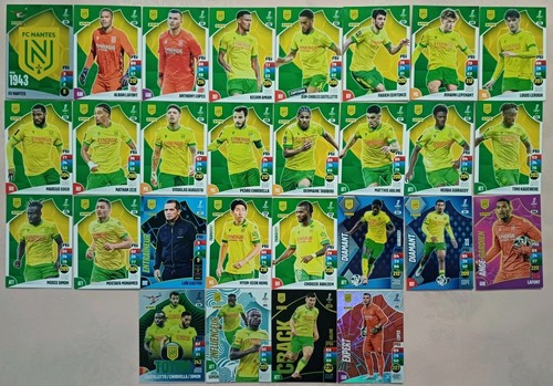 Panini adrenalyn ligue1 - panini,