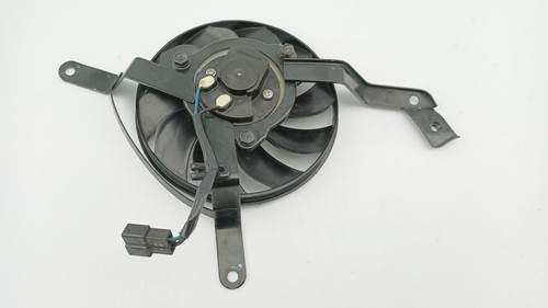Ventilateur triumph street - triumph,