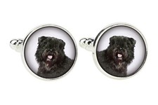 Bouvier des Flandres épingle