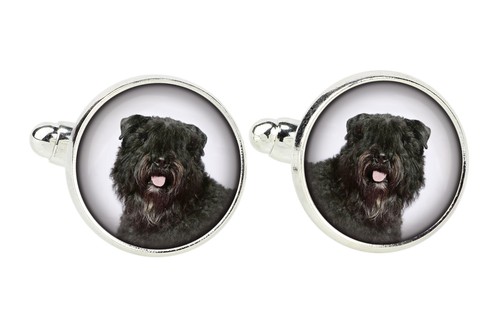Bouvier des flandres épingle - bouvier,