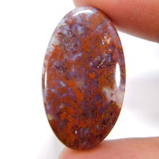 Vente en gros 35,10 Cts