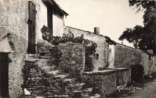 Ile oleron vieilles - d,
