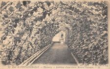 CPA 77 THOMERY / INTERIEUR D'UNE SERRE / MAISON SALOMON