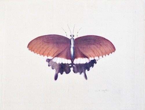 Roche laffitte peinture - la,