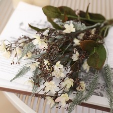 Bouquet de marguerites