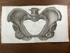Anatomie Obstétrique 1807
