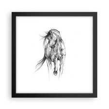 Affiche Poster 30x30cm Tableaux Image Photo Cheval Galop Des Animaux Wall Art