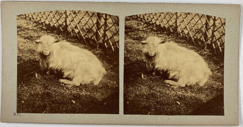 Stéréo paris ménagerie du - paris,,