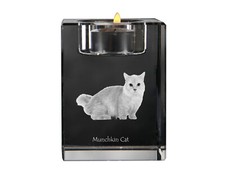 Chat Munchkin bougeoir en