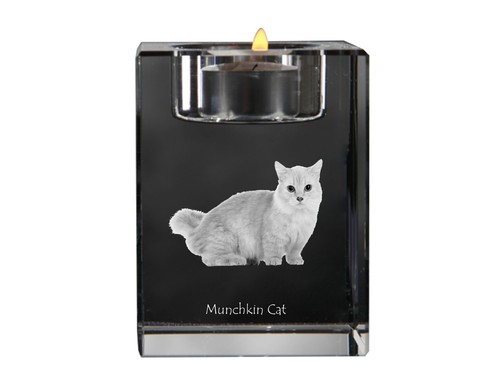Chat munchkin bougeoir - chat, en