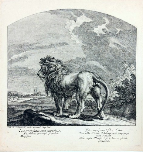 Gravure xviiie lion en - -,
