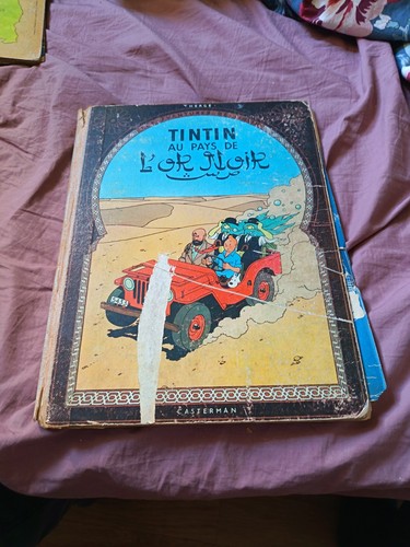 Tintin pays or noir - pays,