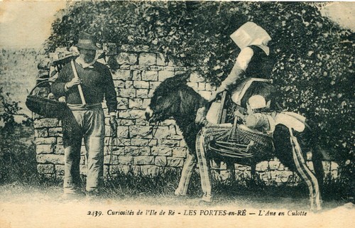 Curiosités île de ré - curiosités,