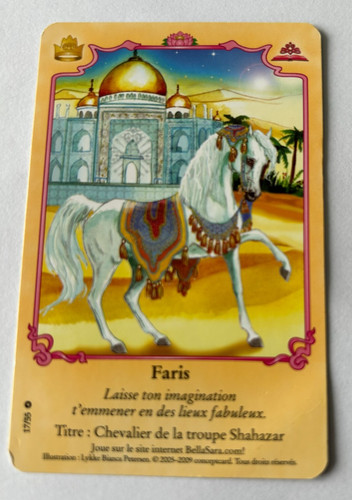 C11 carte bella - bella, sara