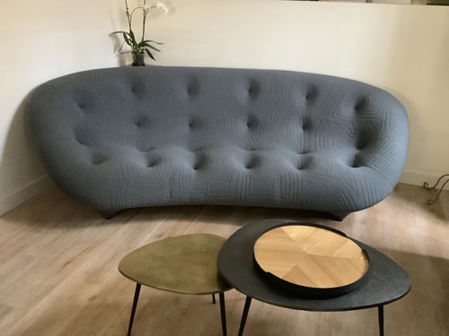 Canapé ploum ligne roset - canapé,