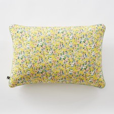 Coussin déhoussable avec