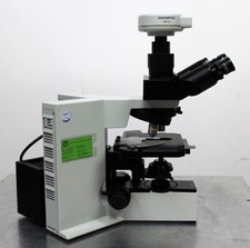 Microscope Olympus BX50F4 avec