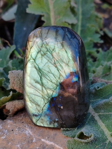 Labradorite forme libre de - labradorite,