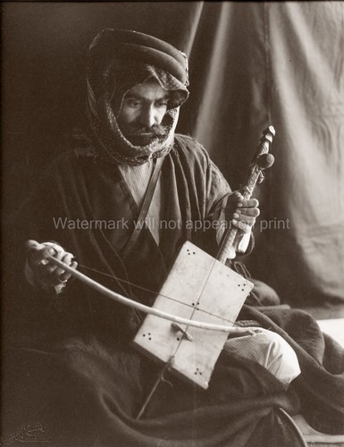 Holy land palestine - land, bedouin