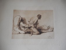 CURIOSA illustré 40