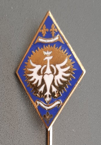 Insigne miniature rc - insigne,