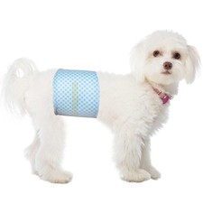 Lot de 40 Couches jetables pour Chien mâle, Taille S, Couches Douces pour Chi...