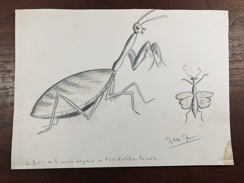 Michelle maurois rare dessin - michelle,