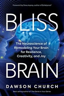 Bliss brain the - brain:,