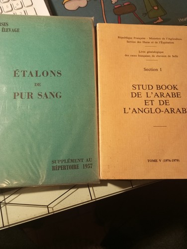 Courses chevaux etalons de - courses,