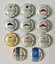 Lot Série 11 Capsules De Champagne * DE CASTELNAU *