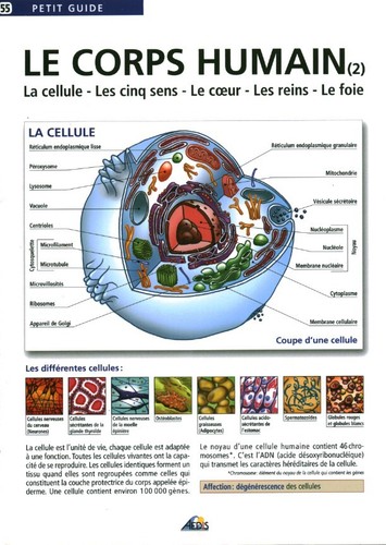 Livre fascicule petit - guide, le