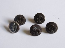 5 boutons de vénerie / chasse, chien & sanglier. Collection. 