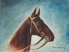 Vintage French Oil Painting, Head of a Horse, Signed Chevalier
