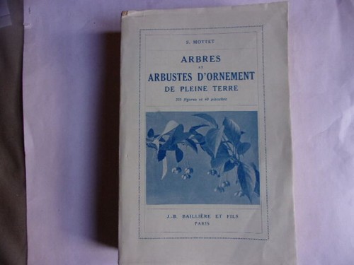 Arbres arbustes ornement - arbres, d'ornement