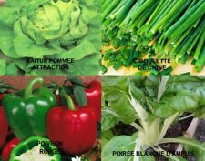 GRAINES DE LEGUMES BIO (BASILIC,COURGETTE,SALADE,CIBOULETTE,POIVRON) 41 AU CHOIX