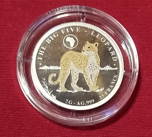Piece big five leopard - leopard, 25