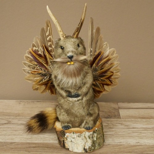 Wolpertinger murmel préparat - murmel,