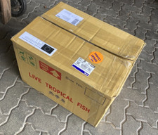 Boite transport + carton caisse polystyrène 60x46x40 isotherme semis XX