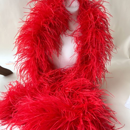 Boa plumes oie - plumes, extra
