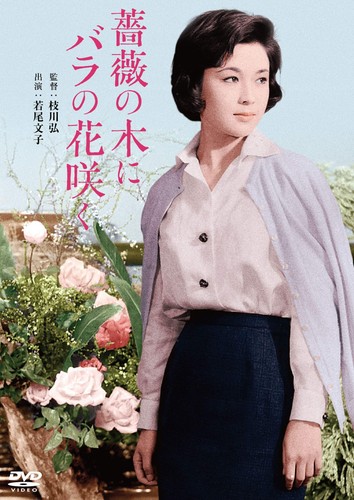 Dvd roses bloom the - roses, on